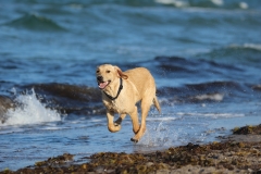 Kimya am Strand, 10. Juli 2014