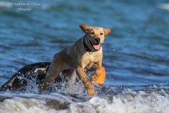 Kimya am Strand, 10. Juli 2014