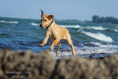 Kimya am Strand, 10. Juli 2014