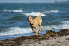 Kimya am Strand, 10. Juli 2014