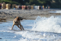 Kimya am Strand, 10. Juli 2014