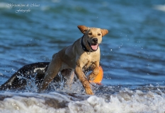Kimya am Strand, 10. Juli 2014