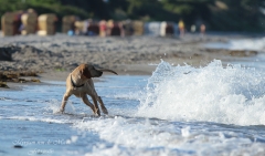 Kimya am Strand, 10. Juli 2014